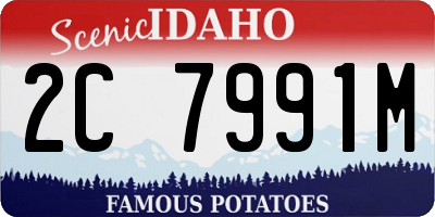 ID license plate 2C7991M