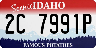 ID license plate 2C7991P