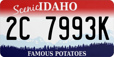 ID license plate 2C7993K