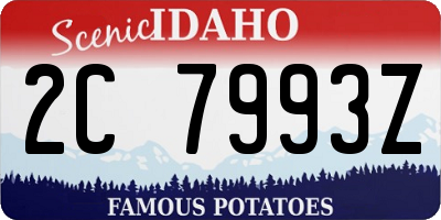 ID license plate 2C7993Z