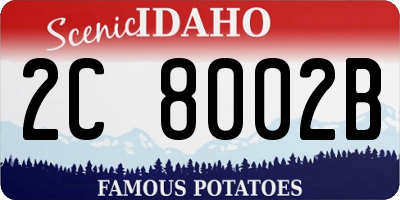 ID license plate 2C8002B