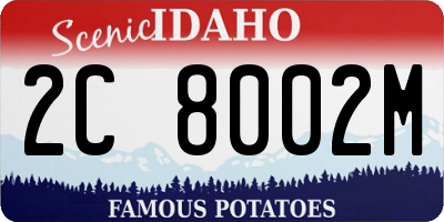 ID license plate 2C8002M