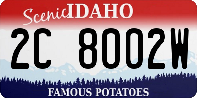 ID license plate 2C8002W