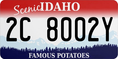ID license plate 2C8002Y