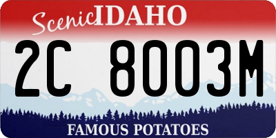 ID license plate 2C8003M
