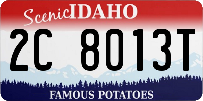 ID license plate 2C8013T