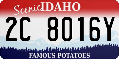 ID license plate 2C8016Y