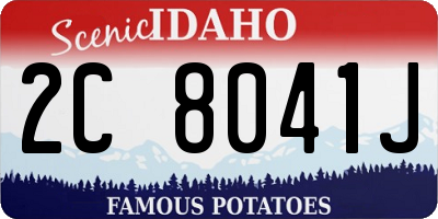 ID license plate 2C8041J