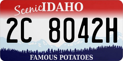 ID license plate 2C8042H