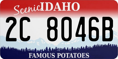 ID license plate 2C8046B