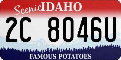 ID license plate 2C8046U