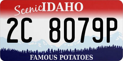 ID license plate 2C8079P