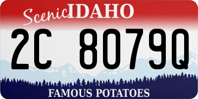 ID license plate 2C8079Q
