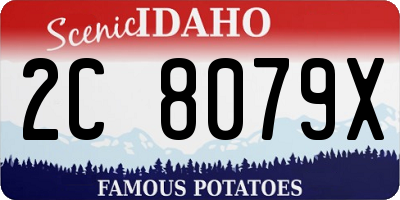 ID license plate 2C8079X
