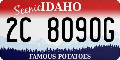 ID license plate 2C8090G