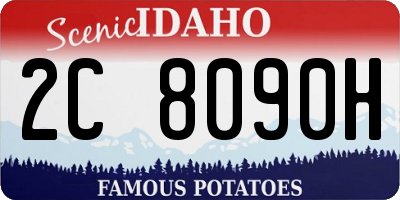 ID license plate 2C8090H