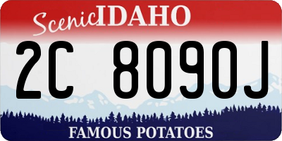 ID license plate 2C8090J