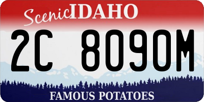 ID license plate 2C8090M