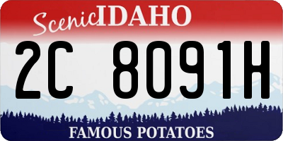 ID license plate 2C8091H
