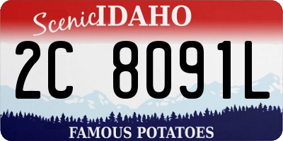 ID license plate 2C8091L