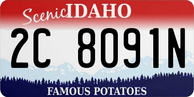 ID license plate 2C8091N