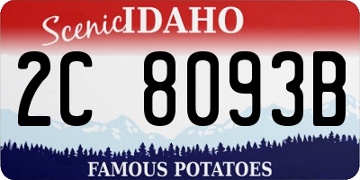 ID license plate 2C8093B
