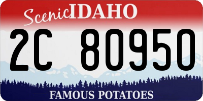 ID license plate 2C8095O