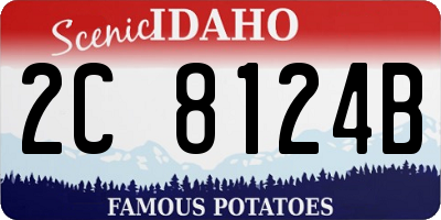 ID license plate 2C8124B