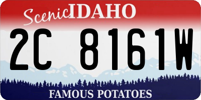 ID license plate 2C8161W