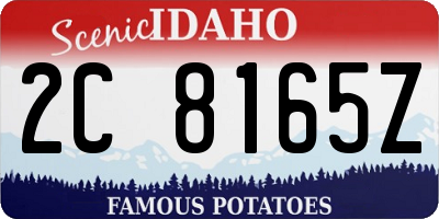 ID license plate 2C8165Z