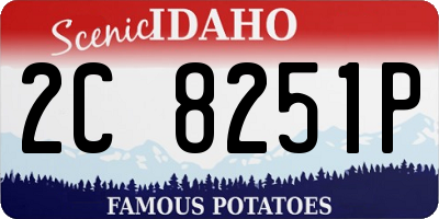 ID license plate 2C8251P