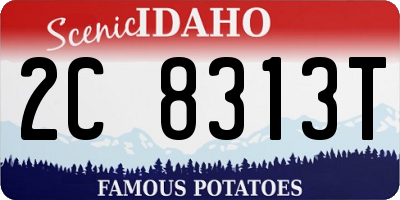 ID license plate 2C8313T