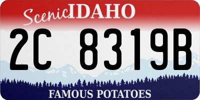 ID license plate 2C8319B