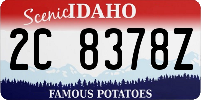 ID license plate 2C8378Z