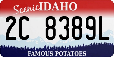 ID license plate 2C8389L