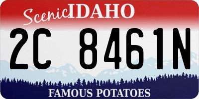 ID license plate 2C8461N