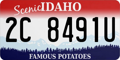 ID license plate 2C8491U