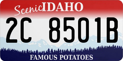 ID license plate 2C8501B