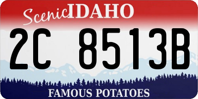 ID license plate 2C8513B