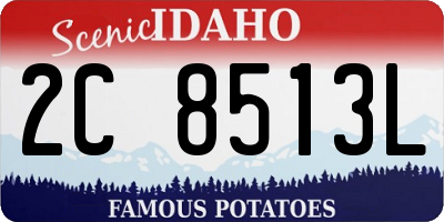 ID license plate 2C8513L