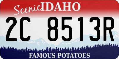 ID license plate 2C8513R