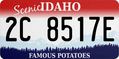 ID license plate 2C8517E