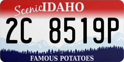 ID license plate 2C8519P