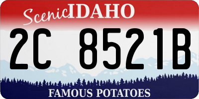 ID license plate 2C8521B