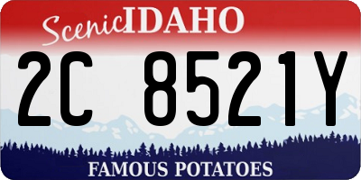 ID license plate 2C8521Y