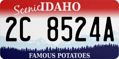 ID license plate 2C8524A