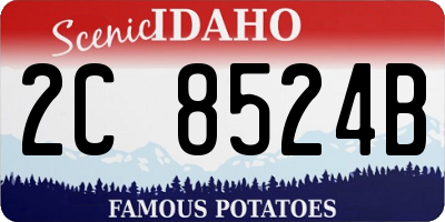 ID license plate 2C8524B