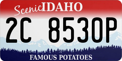 ID license plate 2C8530P