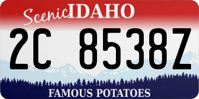 ID license plate 2C8538Z