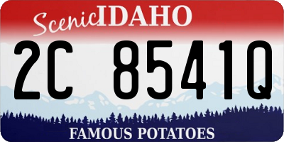 ID license plate 2C8541Q